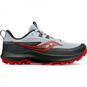 Férfi Saucony Peregrine 13 Terepfutó Cipő Fehér Fekete | HUNGARY UHXBP