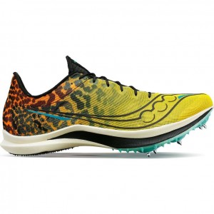 Női Saucony Endorphin Cheetah Futócipő Színes | HUNGARY ADNOX