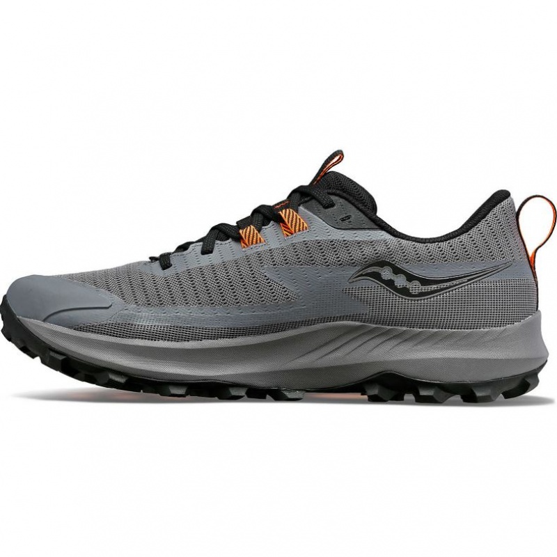 Férfi Saucony Peregrine 13 GTX Terepfutó Cipő Szürke | HUNGARY VALBE