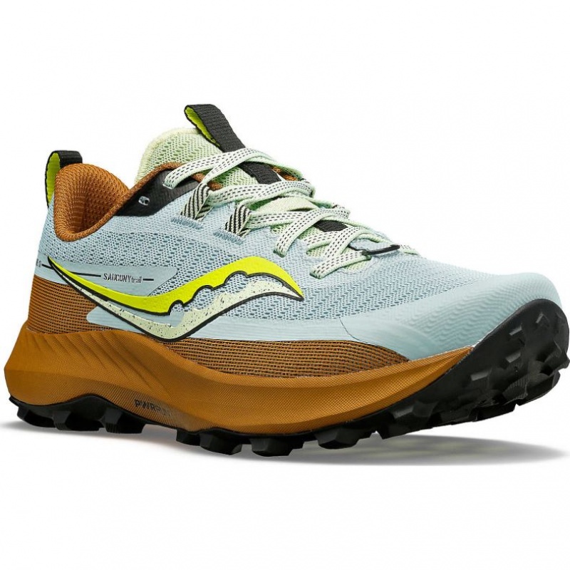 Női Saucony Peregrine 13 Terepfutó Cipő Világos Kék Barna | HUNGARY GJNMP